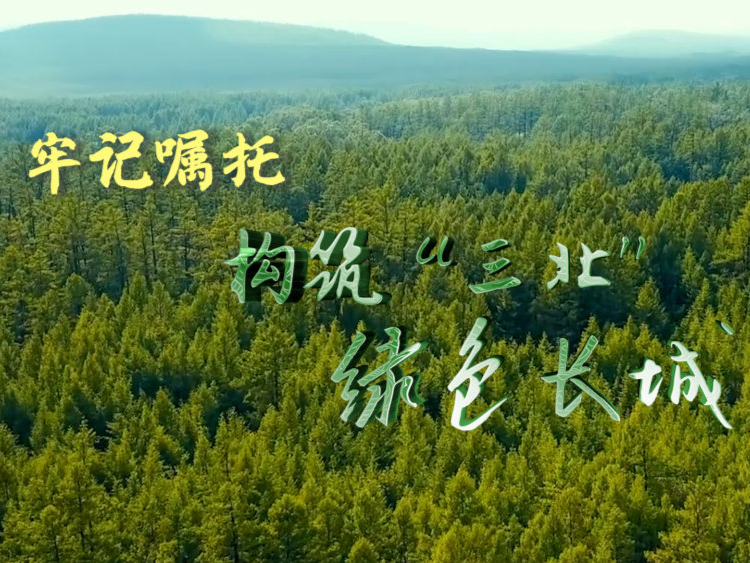牢记嘱托 构筑“三北”绿色长城