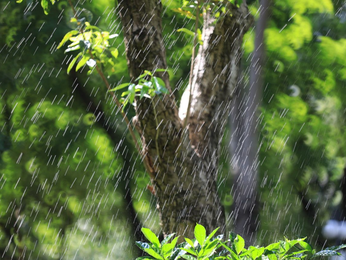 温度记 | 阳光雨水“随机派送”的一天，你准备好了吗？