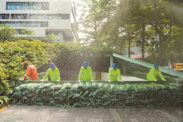 深圳台风预警信号升级为蓝色，这些事情要注意→