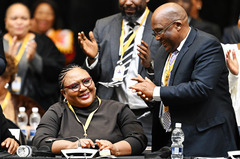 托科·迪迪扎当选南非国民议会议长（2）