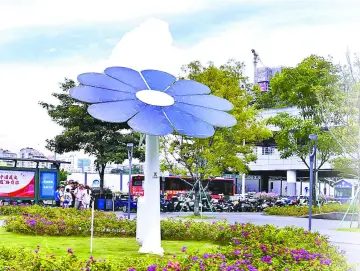晶报特别报道│世界环境日，走进深圳“近零碳”城市建设现场