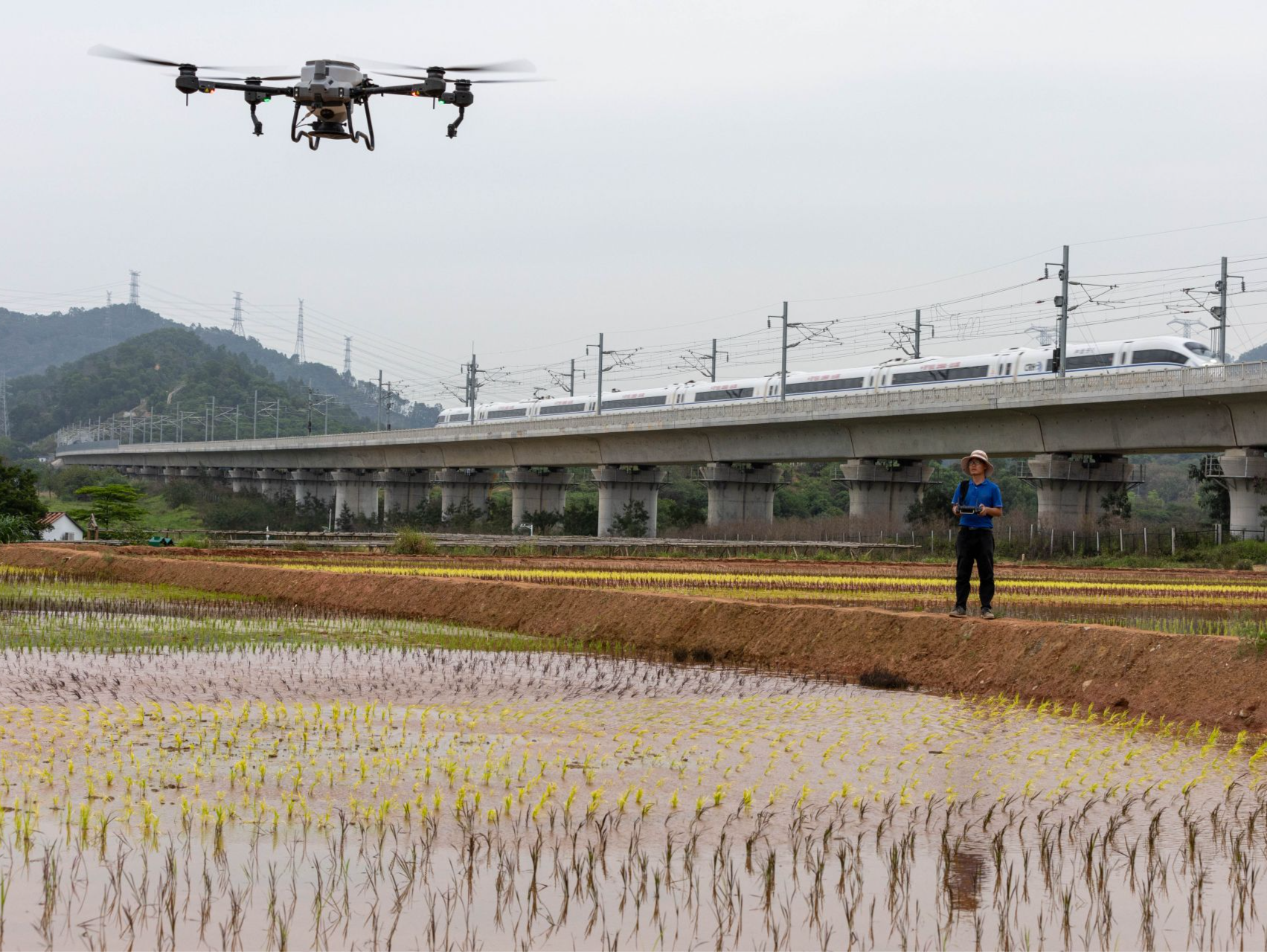 深圳出台现代农业高质量发展专家库管理办法