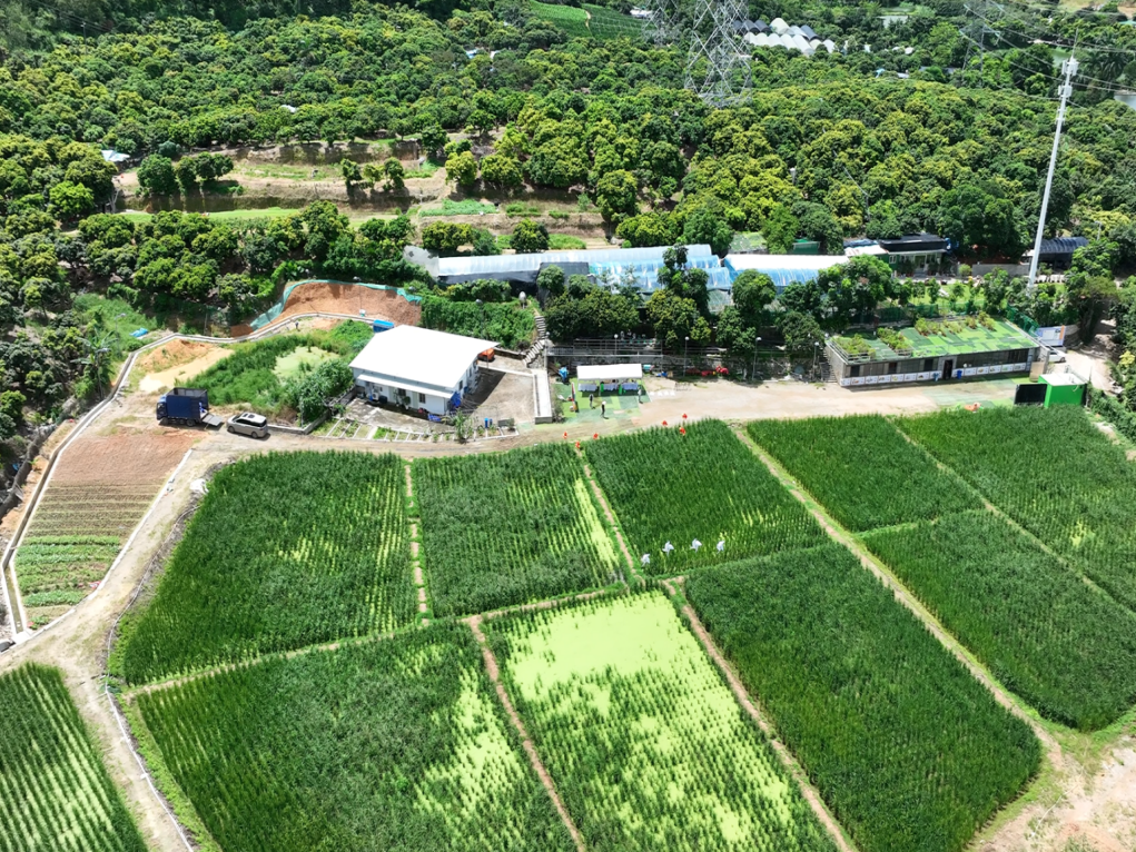 南山区开展第34个全国土地日宣传活动