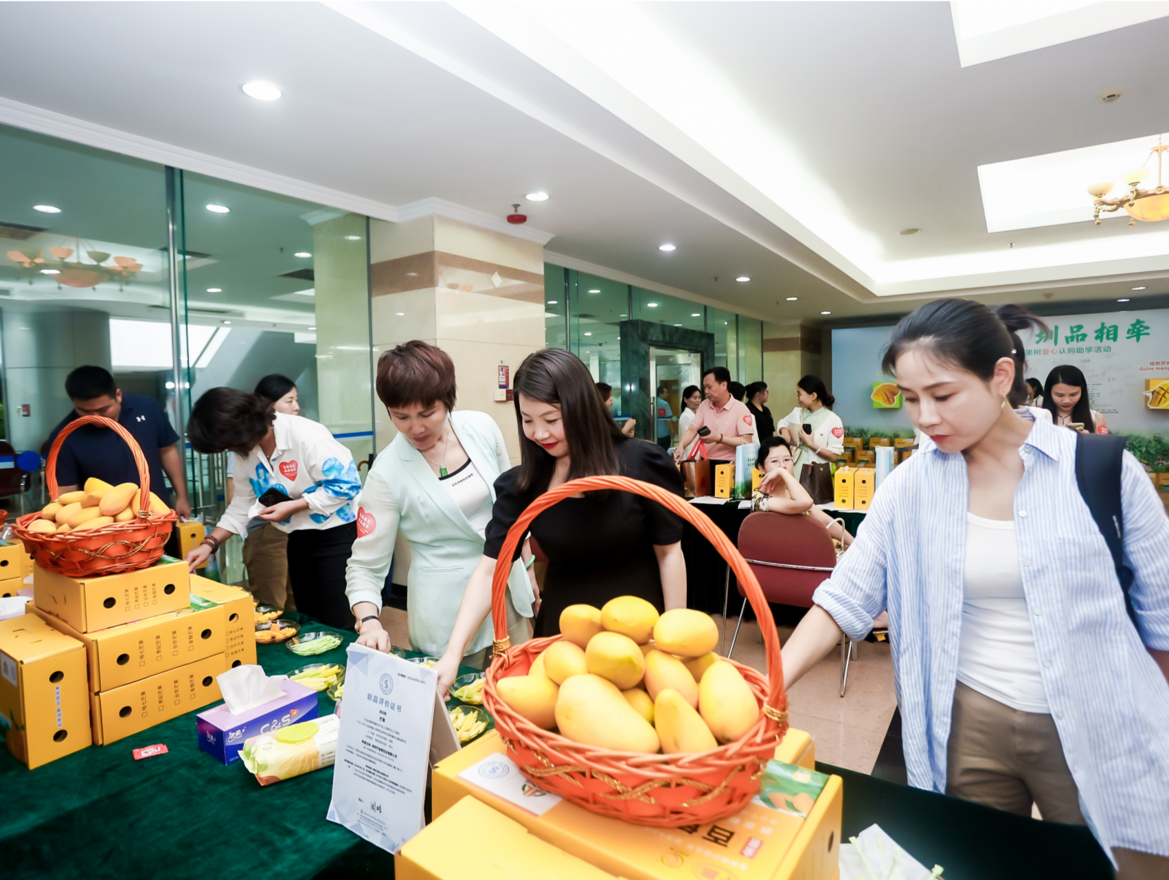 第五届百色“圳品”芒果树爱心认购助学活动在深正式启动