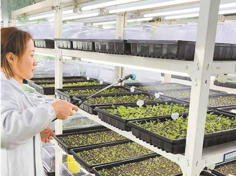 深圳市兰科植物保护研究中心：打造植物多样性诺亚方舟 探索物种保护深圳模式