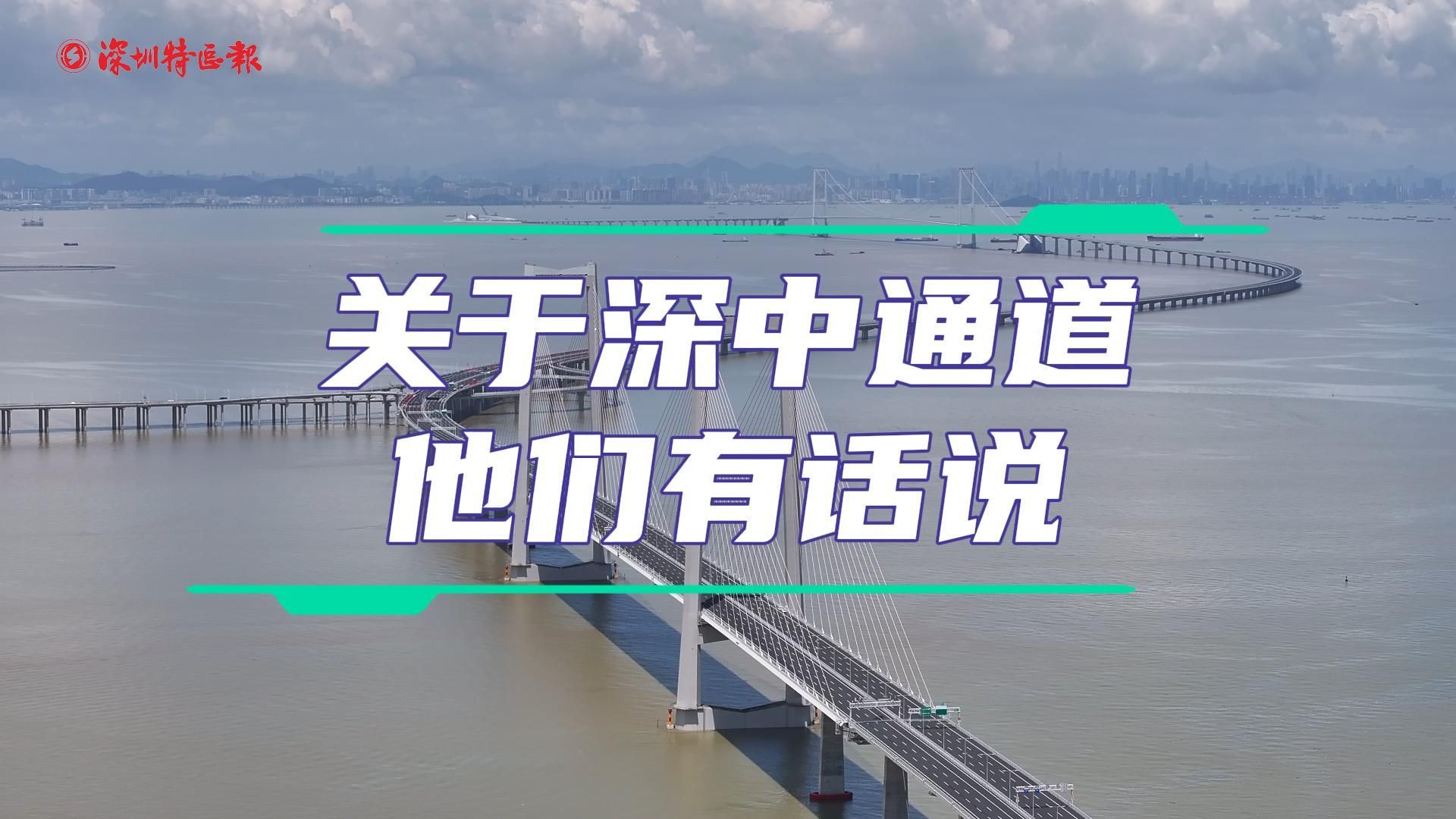 关于深中通道，他们有话说！