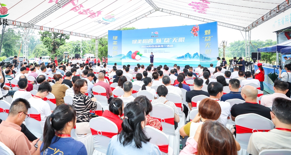 首批荔枝“南果北上”发车！2024阳西荔枝季开启
