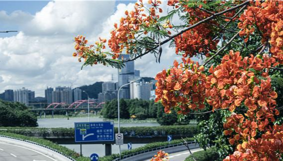 晚风吹过人间 ｜人文天地・南海潮