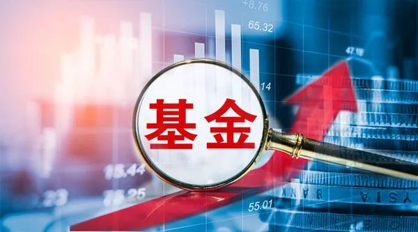 半年盘点丨QDII基金摘得“中考”第一    三成主动权益类基金实行正收益