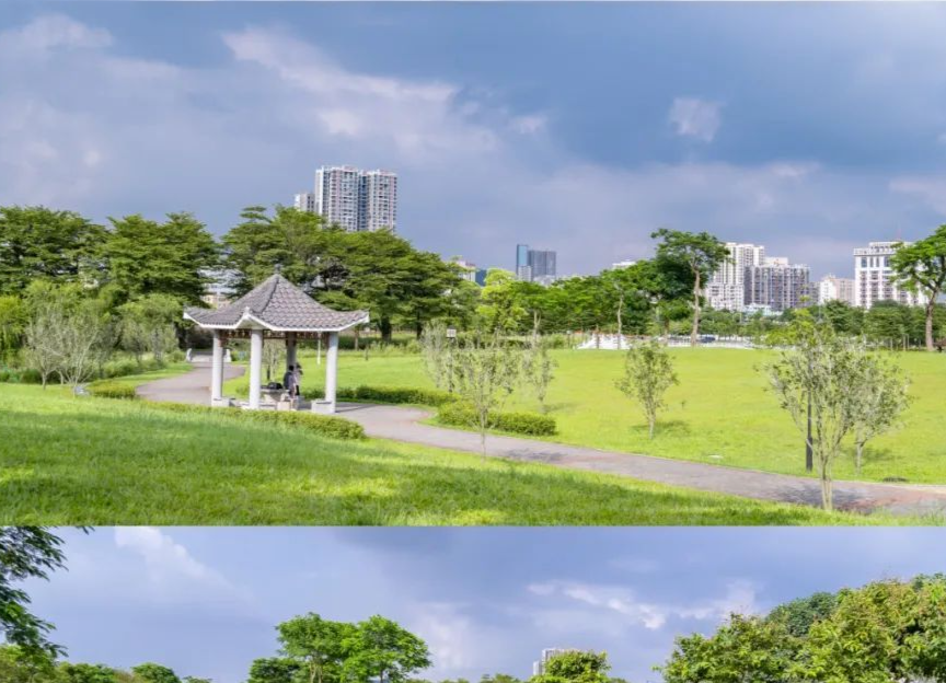 锐评 | 公园命名不能闭门造车