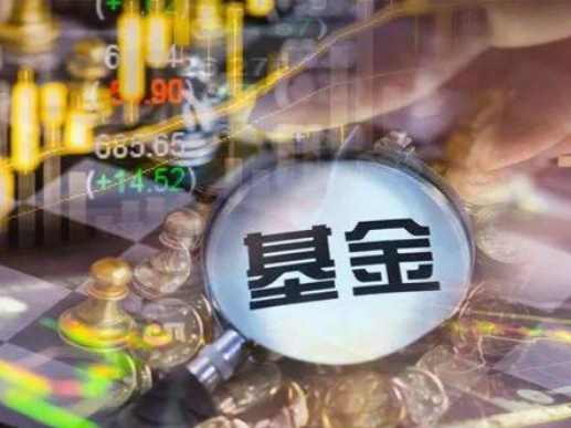 年中盘点丨基金经理看好后市机会 权益资产迎合理布局时点