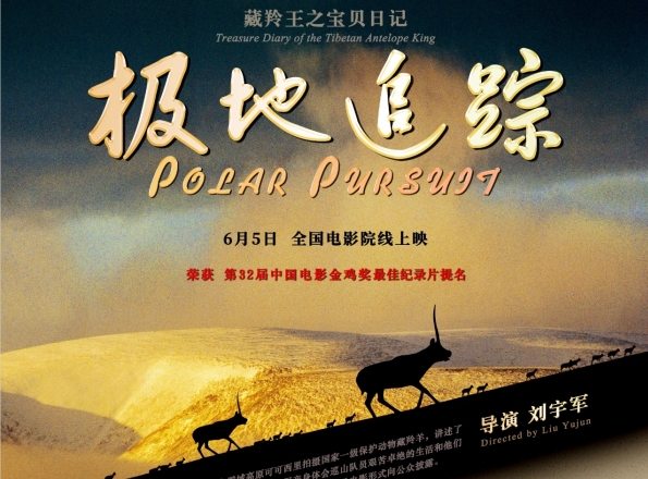 深圳导演耗时三十年追拍！全球首部藏羚羊题材纪录电影在龙华首映