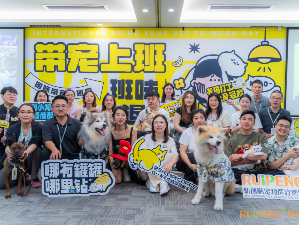 创新“人宠和谐”新举措，新瑞鹏举办“带宠上班日”活动