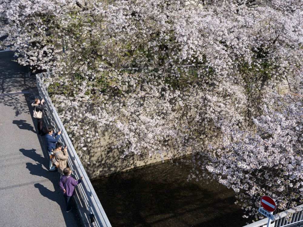 日本手足口病持续蔓延 半数地区发预警