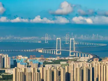 2024年中共深圳市委外事工作委员会办公室“谁执法谁普法”履职报告