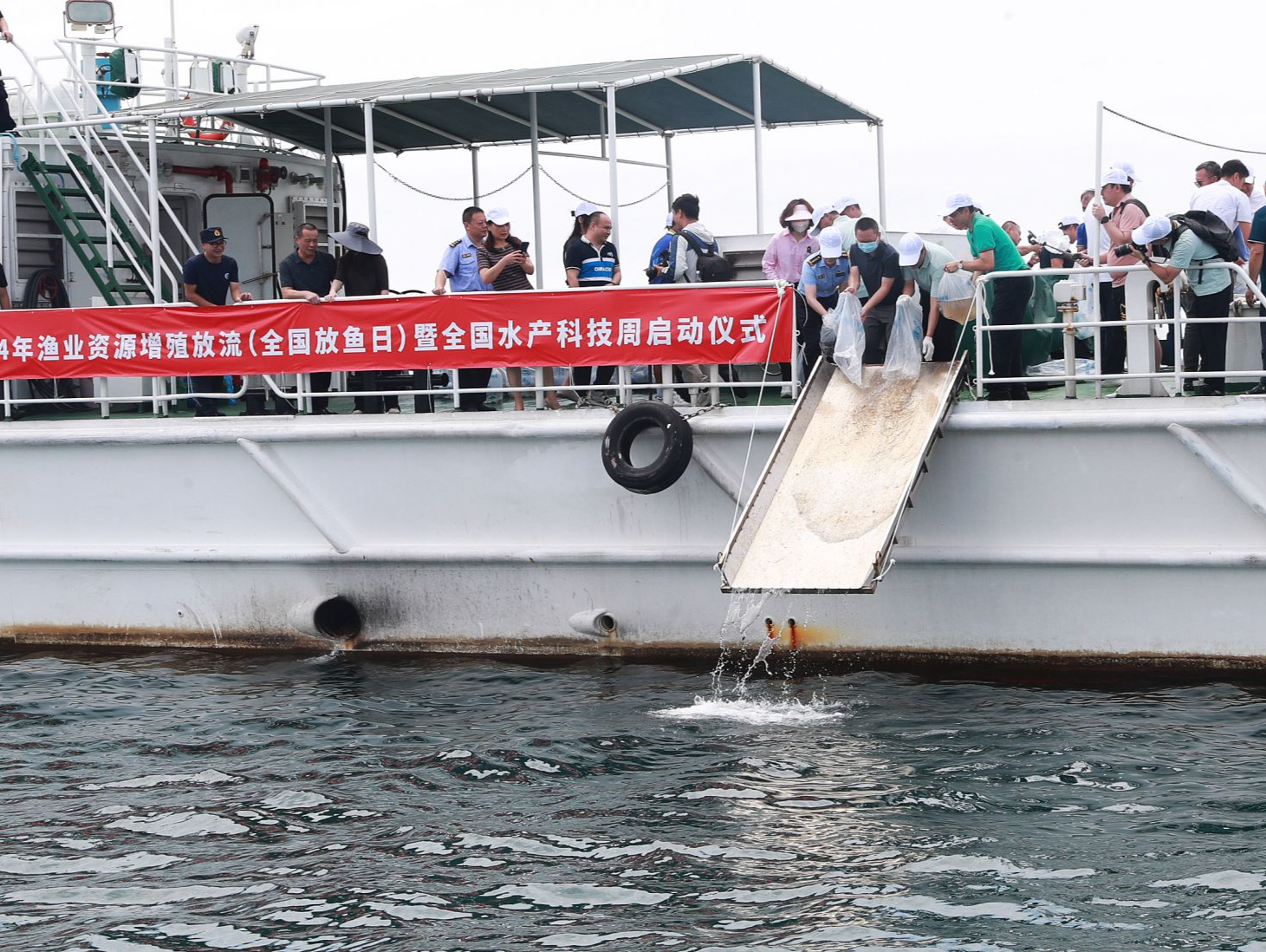 （记者表示不发，待修改重发）全国放鱼日 | 深圳增殖渔业资源，助力建设全球海洋中心城市
