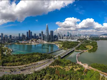 深圳一周丨各区书记区长这周都在忙啥？（6月24日-6月30日）