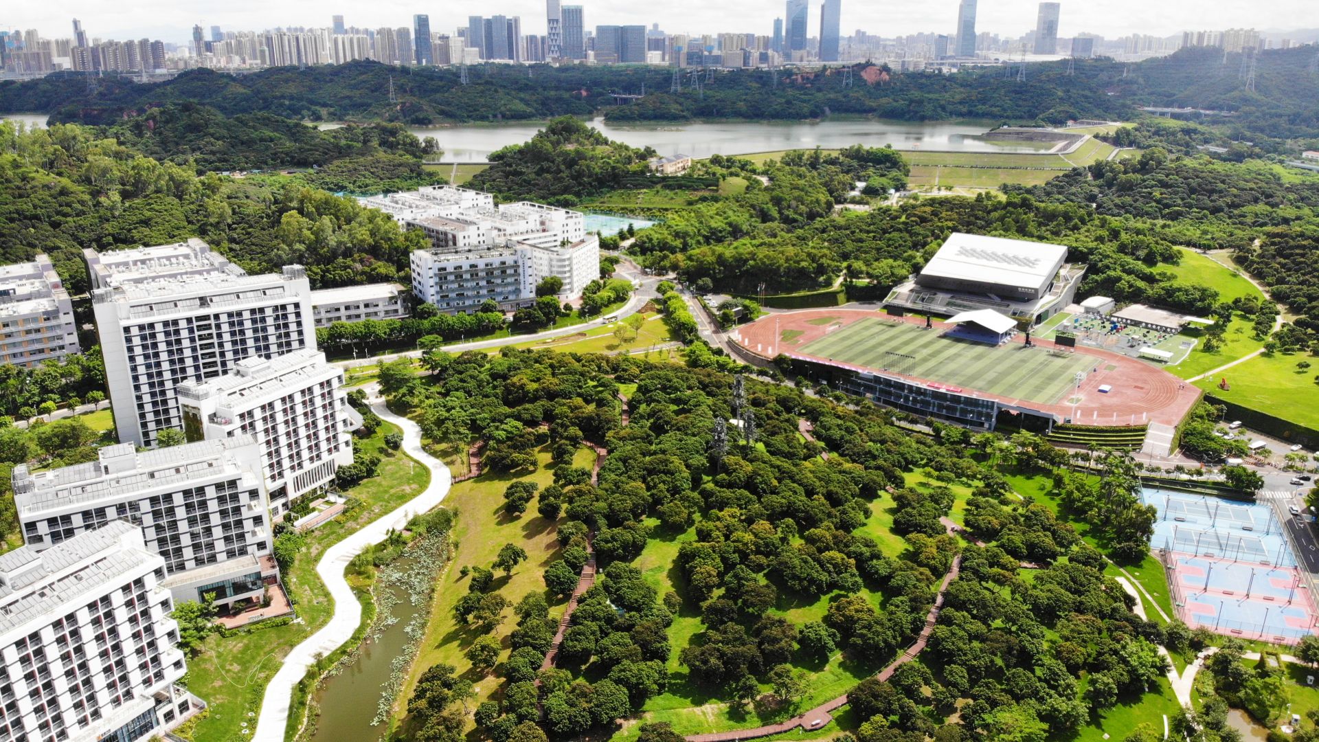 2024都市智慧生态会议在深圳召开