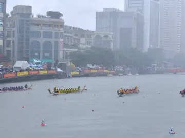 2024年粤港澳大湾区（中山）龙舟邀请赛（镇街组）举行，选手雨中挥桨竞渡
