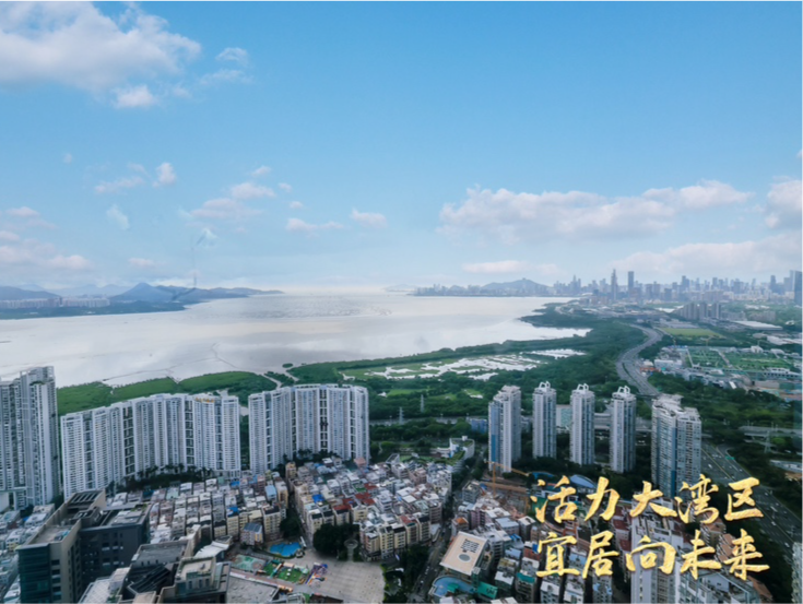 湾区11城房地产行业协会在深签署合作框架协议