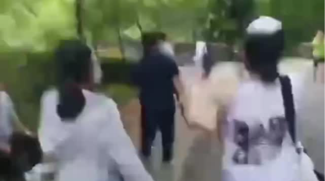 尾随跟拍辱骂网暴熊猫专家？熊猫中心：已报警！