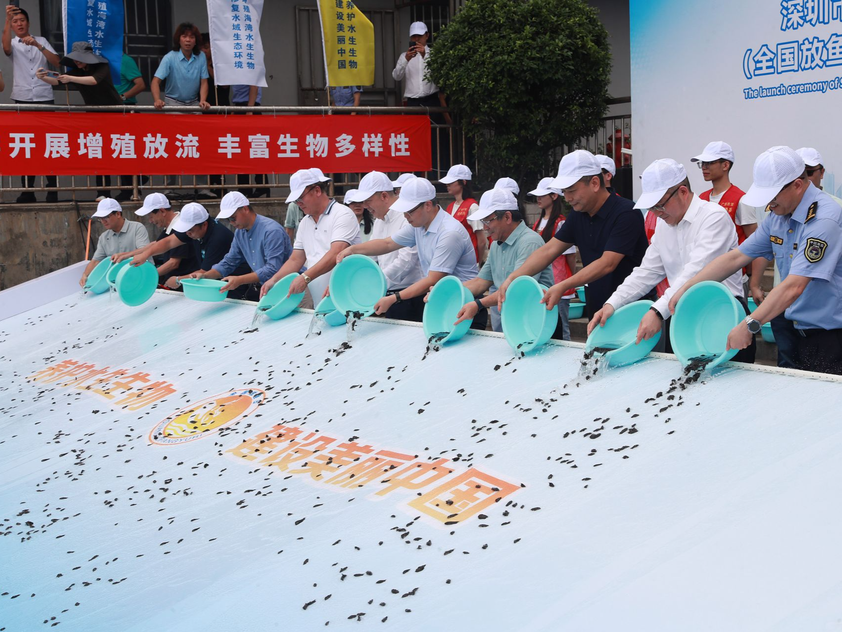 全国放鱼日│90万尾鱼苗500万尾虾苗增殖放流大鹏湾