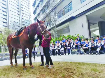 晶报特别报道│小众体育进校园，“马”上出发