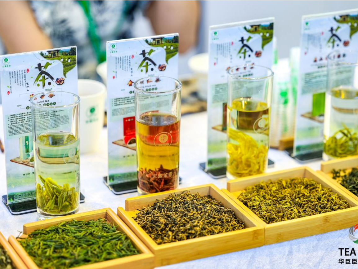 中国春茶旗舰展！第29届深圳春季茶博会20日盛大开幕！
