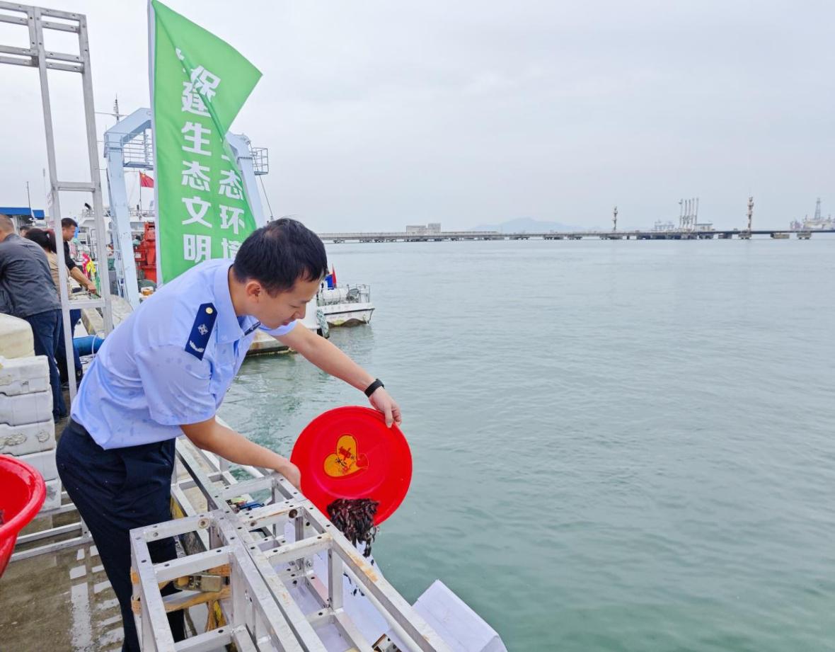 深中通道水上安全通道——矾石水道工程投入使用