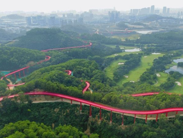 光明区开通3条公交假日专线 方便市民直达全区各大网红打卡点