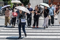 （外代一线）（2）夏日日本东京街头