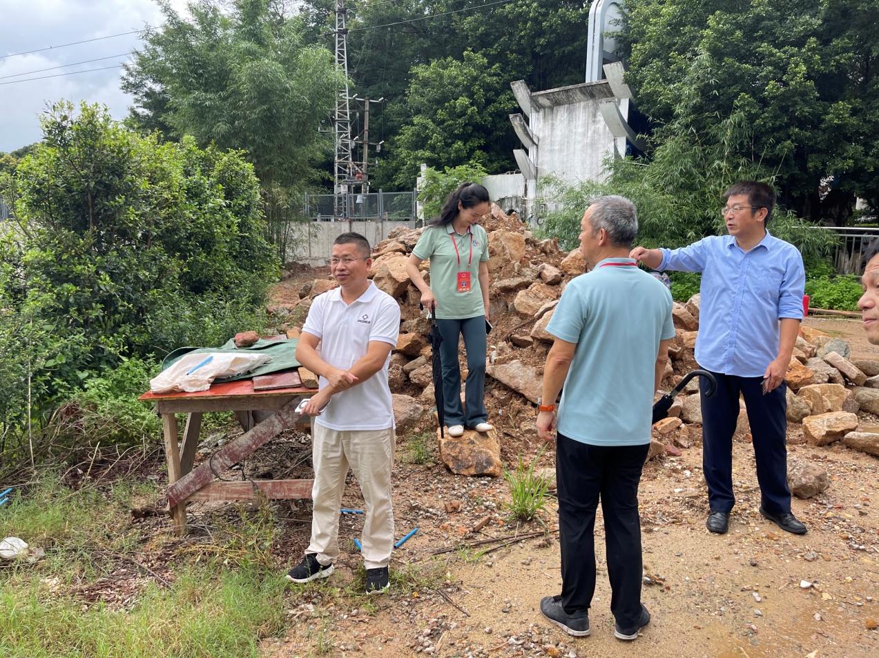 推进绿美广东生态建设，人大龙田街道工委在行动