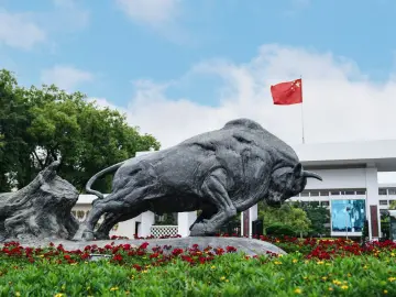 2024年中共深圳市委组织部“谁执法谁普法”履职报告