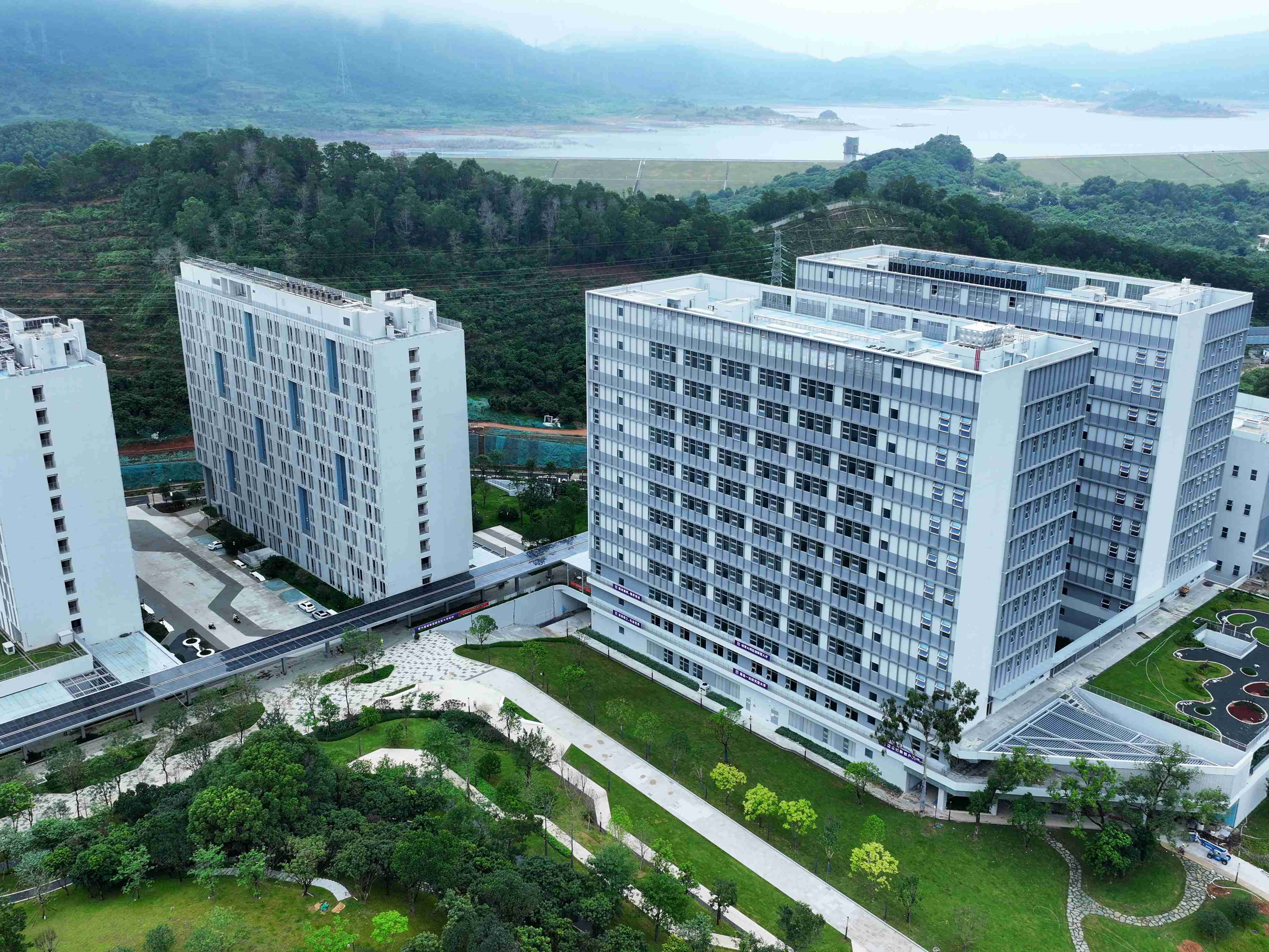 正式官宣，深圳理工大学设立！