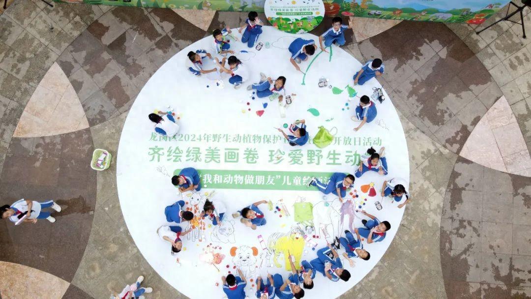 以“绿”为笔绘生态之“美”，龙岗这幅巨型画卷让人爱了！
