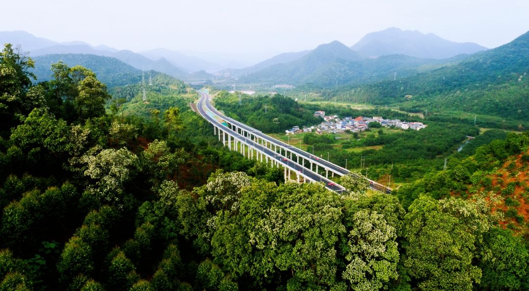 人间至味是清茶 | 人文天地·南海潮
