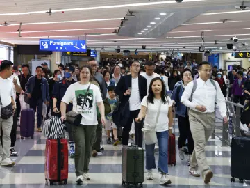同比增长65%！深圳湾口岸端午节假期迎送客35万人次