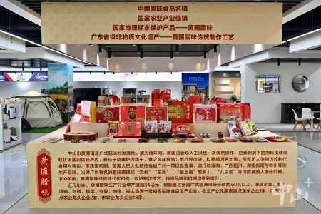 飞跃伶仃洋｜“中山北大门”黄圃镇铆足干劲迎接“大桥时代”