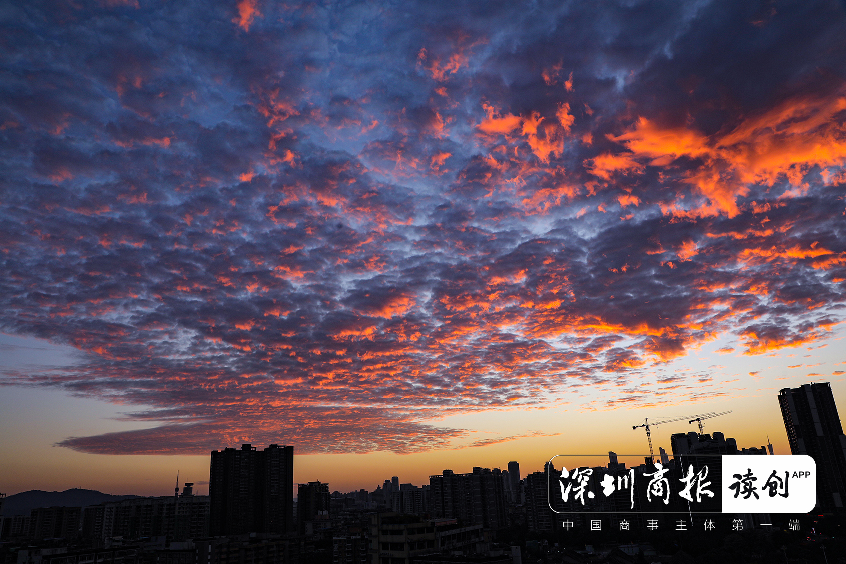 6月7日5时39分！深圳迎今年“最早日出”