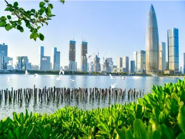 2024年深圳市卫生健康委员会“谁执法谁普法”履职报告