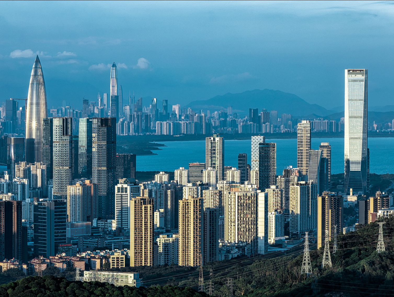 深圳营商环境再优化 | 更大力度推动形成稳定公平透明营商环境