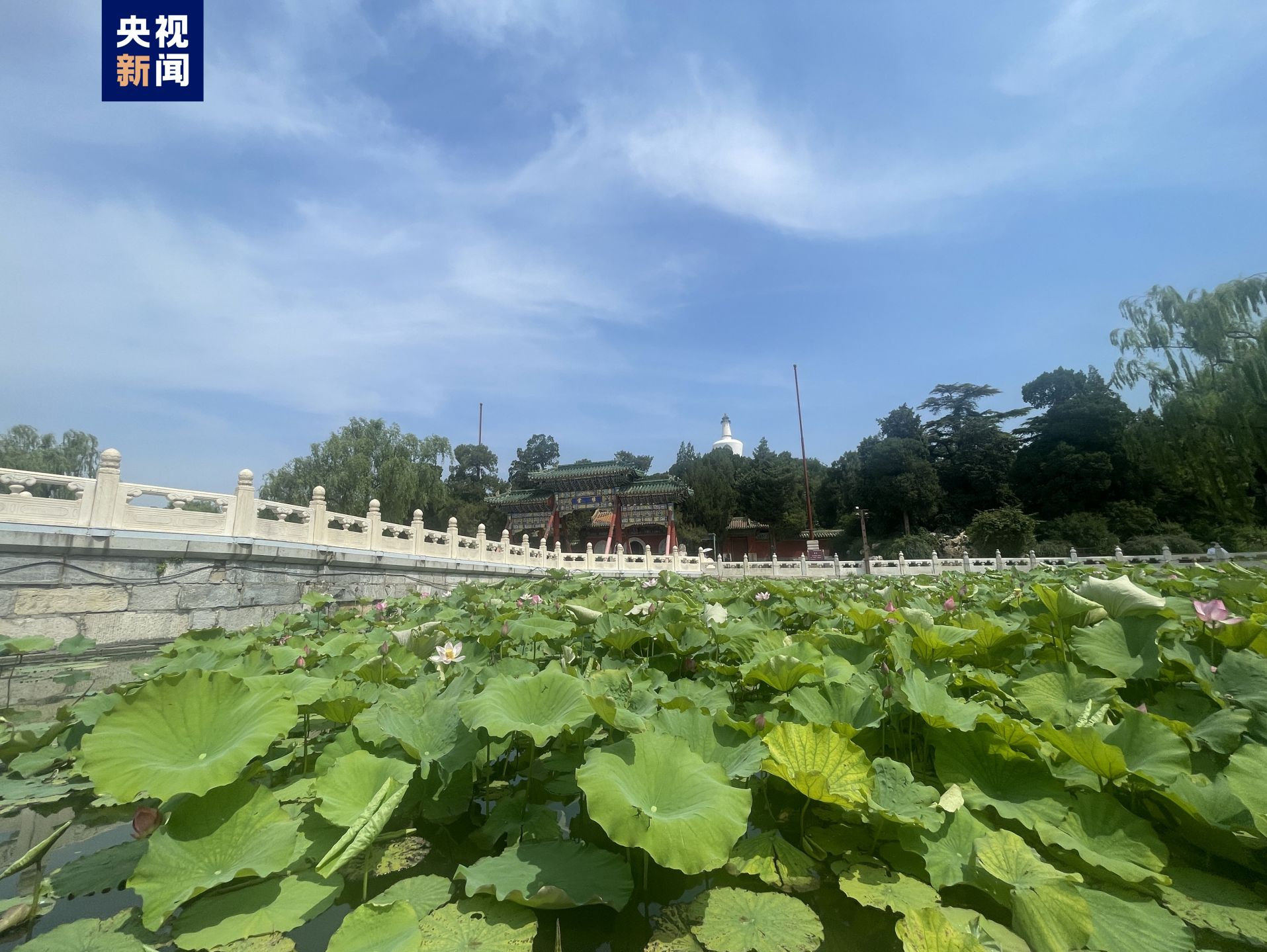 除故宫国博等 北京旅游景区全面取消预约