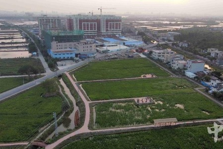 飞跃伶仃洋丨阜沙镇全面焕新，迎接“大桥时代”来临