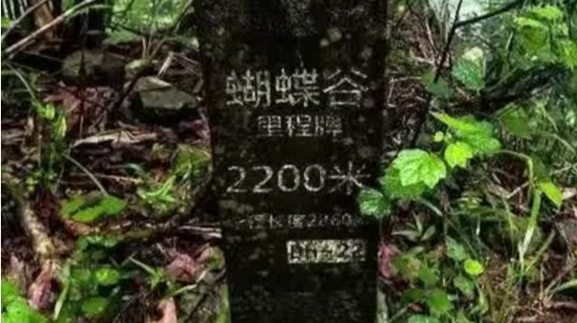 紧急提醒！梧桐山蝴蝶谷发生塌方