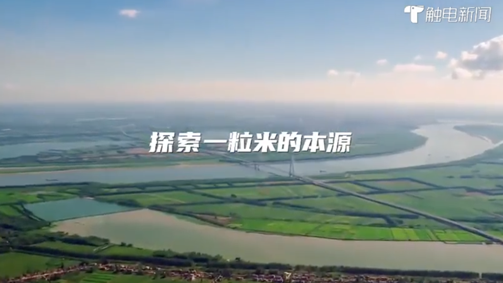 江汉大米粤港澳产销合作洽谈会将在深圳举办