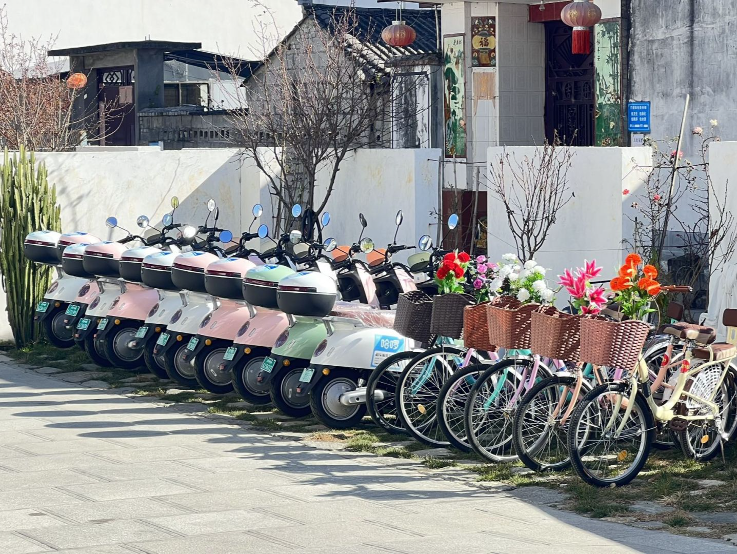 哈啰发布年度可持续发展暨ESG报告，累计减碳超1310万吨
