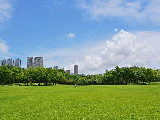 深圳IMAGE | “梦中情天”来了，深圳“塞纳河”半日游走起～