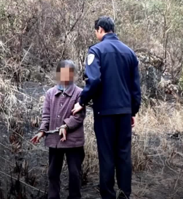 损失141万余元！女子被判刑8个月竟是为了报复蚂蚁？