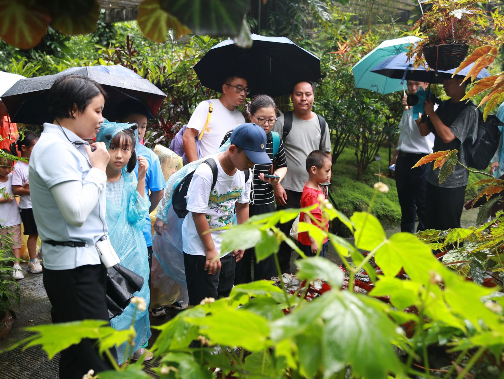 深圳开展关爱环卫工人活动，环卫“小候鸟”走进仙湖植物园