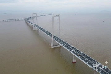 飞跃伶仃洋丨多花3000万元，换得国宝与深中通道“同框”